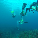 Broadreach: Program at Sea - Caribbean Underwater Discoveries Voyage Photo