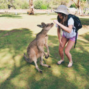 The Education Abroad Network (TEAN): Melbourne - University of Melbourne Photo