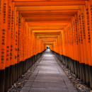 Study Abroad Reviews for The Education Abroad Network (TEAN): Kyoto Internship Program