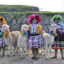 Study Abroad Reviews for SBCC: Spanish Language Program in Bolivia