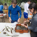 SIT Study Abroad: Panama - Tropical Ecology, Marine Ecosystems, and Biodiversity Conservation Photo