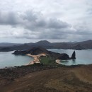 IES Abroad Galápagos Islands January Term - Marine Ecosystems Photo