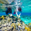 Study Abroad Reviews for The School for Field Studies / SFS: Turks and Caicos Islands - Marine Resource Studies