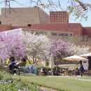 Study Abroad in Egypt at the American University in Cairo Photo