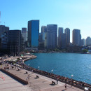 Study Abroad Reviews for University of Minnesota: Virtual Internships in Sydney