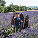 Study Abroad Reviews for CEA: Aix-en-Provence, France