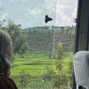 SIT Study Abroad: Rwanda - Post-Genocide Restoration and Peacebuilding Photo