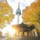 Study Abroad Reviews for CIEE: Seoul - Arts + Sciences (Hanyang University)
