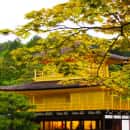 Study Abroad Reviews for CIEE: Kyoto - Open Campus Block