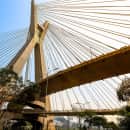 Study Abroad Reviews for CIEE: São Paulo - Arts + Sciences (Fundacao Getulio Vargas)