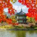 Study Abroad Reviews for CIEE: Seoul - Open Campus Block