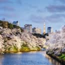 Study Abroad Reviews for CIEE: Semester in Tokyo
