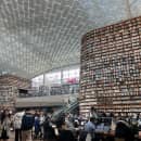 Study Abroad Programs in South Korea Photo