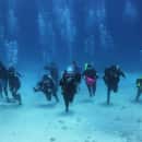 The School for Field Studies / SFS: Turks and Caicos Islands - Marine Resource Studies Photo