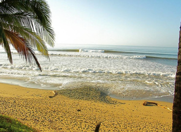 Study Abroad Reviews for The Sea State: Playa Reina - Creative Nonfiction Writing - Surf Journalism