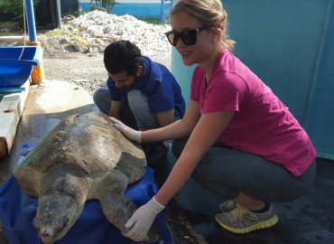 Study Abroad Reviews for Intern Abroad HQ: Internships in Costa Rica