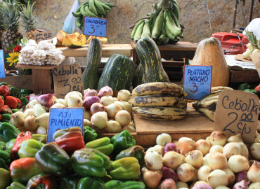 Study Abroad Reviews for NYU Steinhardt: Cuba - International Issues in Nutrition and Food