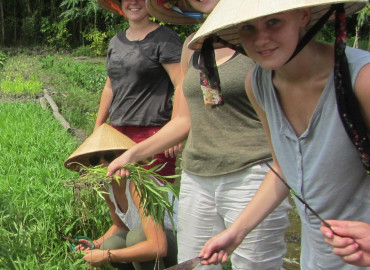 Study Abroad Reviews for SIT Study Abroad: Vietnam: Nongovernmental Organization Internship (Summer)