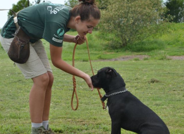Study Abroad Reviews for ProjectsAbroad: Argentina - Volunteer and Community Service Programs in Argentina