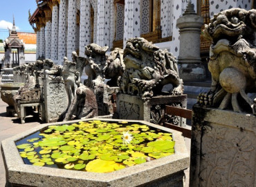 Study Abroad Reviews for World Endeavors: Volunteer in Thailand