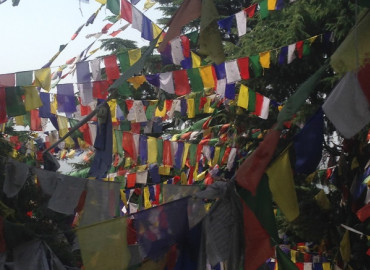 Study Abroad Reviews for St. Mary's College of Maryland: Traveling - India Study Tour