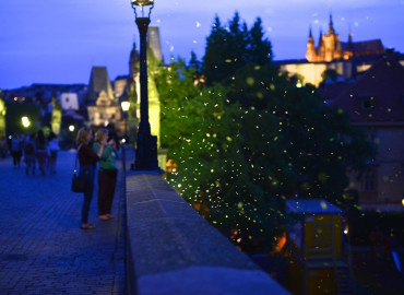 Study Abroad Reviews for University of Texas - Austin: Prague - Prague Documentary Photography