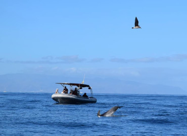 Study Abroad Reviews for GVI: Tenerife - Short - Term Marine Biology Internship in the Canary Islands