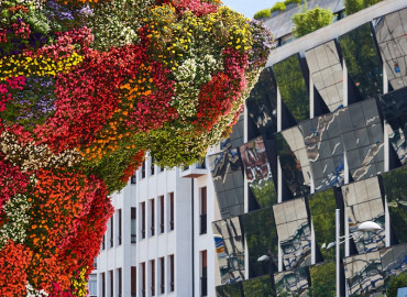 Study Abroad Reviews for SIT Study Abroad: Spain - Sustainable Urban Development & Social Justice