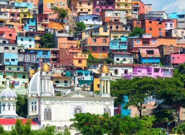 Study Abroad Reviews for University of Minnesota: MSID - Human Rights in Ecuador