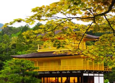 Study Abroad Reviews for CIEE: Kyoto - Open Campus Block