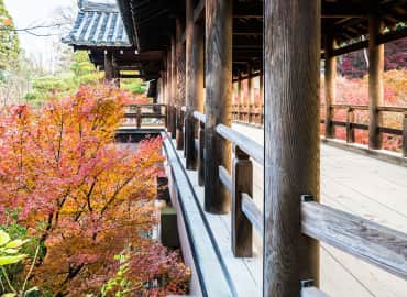 Study Abroad Reviews for CIEE: Kyoto - Semester Global Internship
