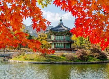 Study Abroad Reviews for CIEE: Seoul - Open Campus Block