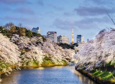 Study Abroad Reviews for CIEE: Semester in Tokyo
