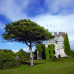 Photo of CISabroad (Center for International Studies): Dublin - Intern in Dublin