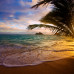 Photo of CISabroad (Center for International Studies): Oahu - Semester in Hawaii