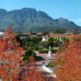 Photo of CISabroad (Center for International Studies): Stellenbosch - Summer in South Africa