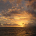 Photo of CISabroad (Center for International Studies): Sydney - Intern in Australia