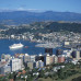 Photo of CISabroad (Center for International Studies): Intern in New Zealand