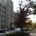 Photo of University of Seoul: Seoul - Direct Enrollment & Exchange
