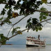 Photo of Earthwatch: Peru - Amazon Riverboat Exploration