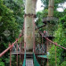 Photo of Earthwatch: Malaysia - Climate Change & Landscape in Borneo’s Rainforests
