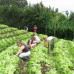 Photo of The School for Field Studies / SFS: Costa Rica – Ecological Resilience Studies