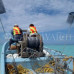 Photo of Earthwatch: Belize - Shark and Ray Conservation in Belize
