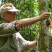 Photo of Earthwatch: Puerto Rico - Puerto Rico's Rainforest