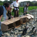 Photo of Earthwatch: South Africa - South African Penguins