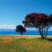 Photo of CISabroad (Center for International Studies): Wellington - Semester on the North Island, New Zealand
