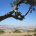 Photo of Ben Gurion University of the Negev: Beer Sheba - Direct Enrollment & Exchange