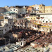 Photo of University of Minnesota: Fez - Arabic Language & Culture in Morocco