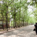 Photo of INTO China - Tianjin: Nankai University