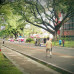 Photo of University of the Philippines, Los Baños: Laguna Province - Direct Enrollment & Exchange